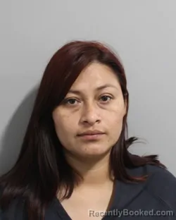 Mugshot of Yesica Ramirez Hernandez booked in Polk County, Florida on July 29, 2026