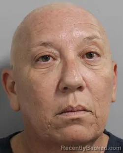 Mugshot of Mandi Villegas booked in Polk County, Florida on July 29, 2026