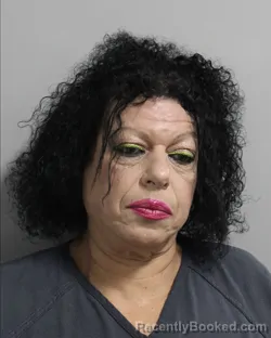 Mugshot of Andreita Sierra booked in Polk County, Florida on July 29, 2026