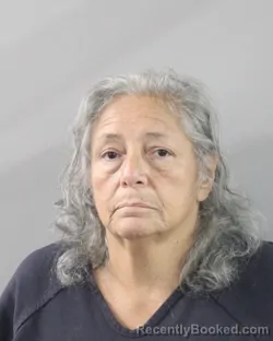 Mugshot of Patty Adkins booked in Polk County, Florida on July 31, 2026