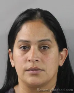 Mugshot of Alicia Raga Suarez booked in Polk County, Florida on July 31, 2026