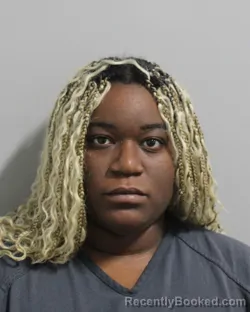 Mugshot of Raina Ervin booked in Polk County, Florida on July 31, 2026