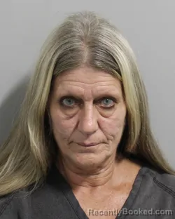 Mugshot of Ronda Lane booked in Polk County, Florida on July 31, 2026