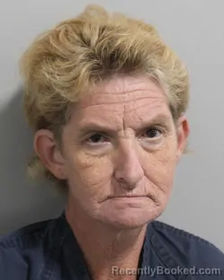 Mugshot of Brenda Rasnake booked in Polk County, Florida on August 2, 2026