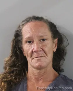 Mugshot of Crystal Collins booked in Polk County, Florida on August 2, 2026