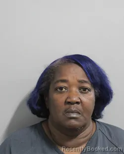 Mugshot of Johanna Howard booked in Polk County, Florida on August 2, 2026