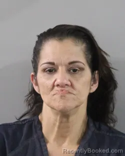 Mugshot of WALESKA PONS booked in Polk County, Florida on August 2, 2026