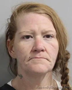 Mugshot of Mary Raulerson booked in Polk County, Florida on August 3, 2026