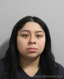 Mugshot of Zaira Gonzalez booked in Polk County, Florida on August 4, 2026
