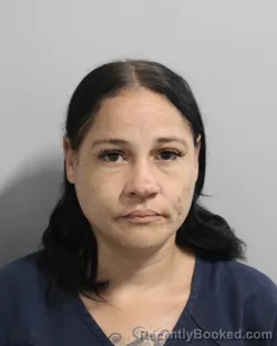 Mugshot of Iris Soria booked in Polk County, Florida on August 4, 2026