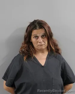 Mugshot of Megan Palmer booked in Polk County, Florida on August 4, 2026