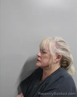 Mugshot of Deborah Livingston booked in Polk County, Florida on August 4, 2026