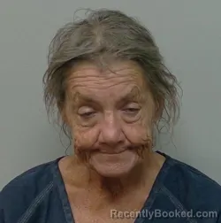 Mugshot of Sharon Daffron booked in Polk County, Florida on August 5, 2026