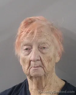 Mugshot of Sandra Rinaldi Colvin booked in Polk County, Florida on August 5, 2026