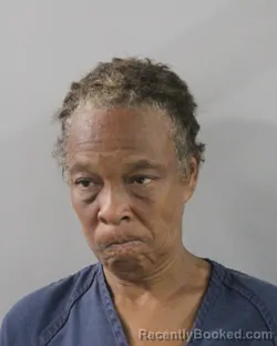 Mugshot of Renee Love booked in Polk County, Florida on August 6, 2026
