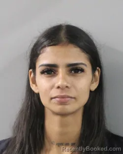 Mugshot of Leyrian Delgado Cerro booked in Polk County, Florida on August 6, 2026