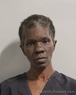 Mugshot of Amber Walker booked in Polk County, Florida on August 7, 2026