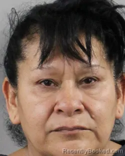 Mugshot of Ma Galvan Medina booked in Polk County, Florida on August 7, 2026