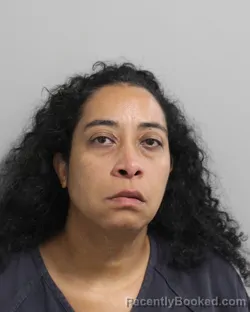 Mugshot of Katherine Llanos Sostre booked in Polk County, Florida on August 8, 2026