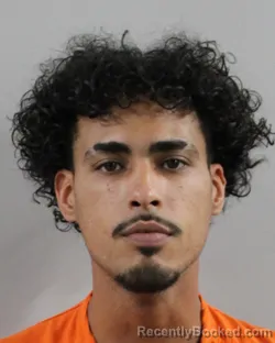 Mugshot of Luis Alvarado booked in Polk County, Florida on August 8, 2026