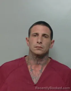 Mugshot of Nicholas Dalessandro booked in Polk County, Florida on August 10, 2026