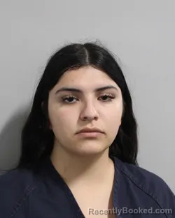Mugshot of Ayana Cruz booked in Polk County, Florida on August 24, 2026