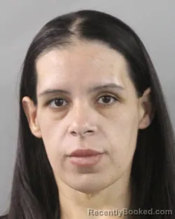 Mugshot of Andrea Fernandez booked in Polk County, Florida on August 25, 2026