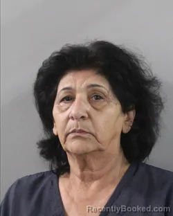 Mugshot of Alberteen Dewan booked in Polk County, Florida on August 26, 2026