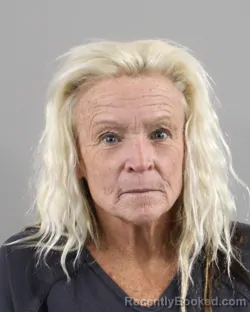 Mugshot of Elisabeth Nock booked in Polk County, Florida on August 26, 2026