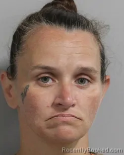 Mugshot of Jessica Raulerson booked in Polk County, Florida on August 26, 2026