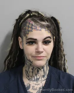 Mugshot of Shenna Fillinger booked in Polk County, Florida on August 27, 2026