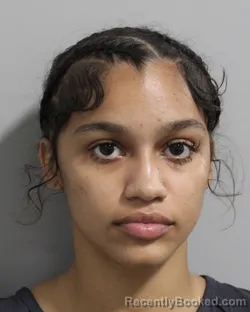 Mugshot of Laylani Camacho booked in Polk County, Florida on August 27, 2026