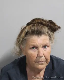 Mugshot of Karen Bowman booked in Polk County, Florida on August 27, 2026