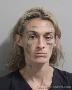 Mugshot of Karissa Daily-Roach booked in Polk County, Florida on August 27, 2026