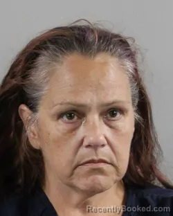 Mugshot of Brooke Fishbeck booked in Polk County, Florida on August 27, 2026