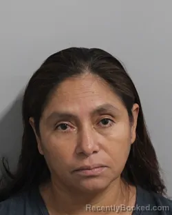 Mugshot of Norma Alvarez Castillo booked in Polk County, Florida on August 27, 2026