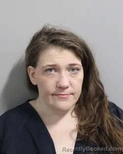 Mugshot of Nicole Hall booked in Polk County, Florida on August 27, 2026
