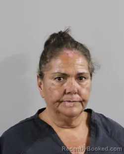 Mugshot of Patricia Perry booked in Polk County, Florida on August 28, 2026