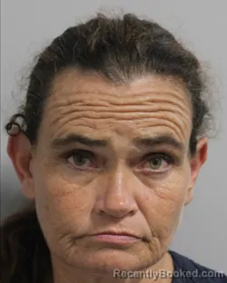 Mugshot of Leann Salmon booked in Polk County, Florida on August 28, 2026