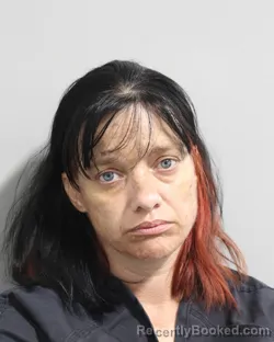 Mugshot of Tonya Meadows booked in Polk County, Florida on August 28, 2026