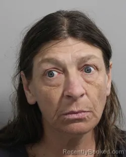 Mugshot of Jennifer Tweed booked in Polk County, Florida on August 29, 2026