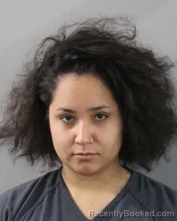 Mugshot of Natasha Olivari booked in Polk County, Florida on August 29, 2026