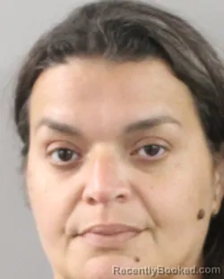 Mugshot of Viviana Santiago booked in Polk County, Florida on September 4, 2026