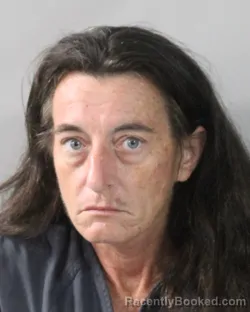 Mugshot of Heather Adams booked in Polk County, Florida on September 4, 2026