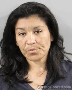 Mugshot of Angelique Florez booked in Polk County, Florida on September 7, 2026