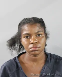 Mugshot of Antinette Lamb booked in Polk County, Florida on September 8, 2026