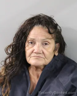 Mugshot of Lisa Paul booked in Polk County, Florida on September 9, 2026