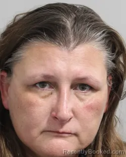 Mugshot of Lisa Welsh booked in Polk County, Florida on September 9, 2026