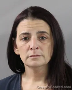 Mugshot of Nicole Klein booked in Polk County, Florida on September 11, 2026