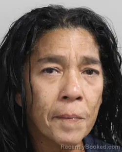 Mugshot of Leslie Diaz booked in Polk County, Florida on September 12, 2026